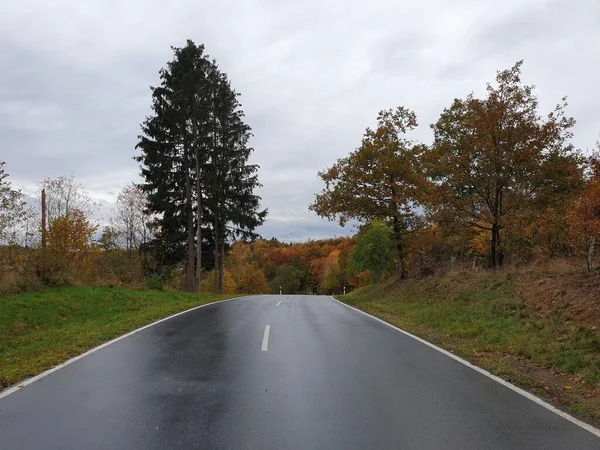 Wanderung Einem Regnerischen Tag — Stockfoto