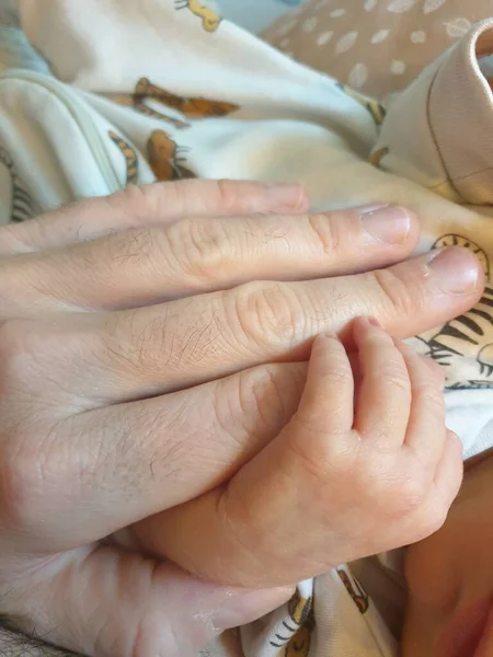 Little Hand Newborn Grabbing Father Hand — Photo