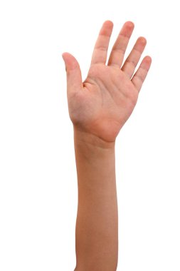 beyaz çocuklar elinizi kaldırın