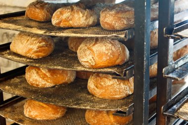 taze pişmiş zanaat rustik ekmek loafs