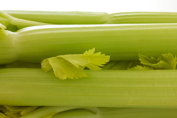 Celery stems close up — Stock Photo, Image