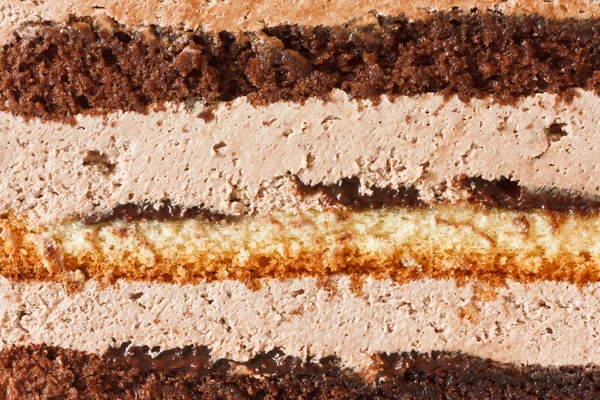 Réteges csokoládé torta — Stock Fotó