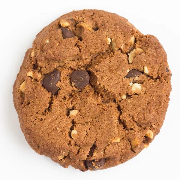 Chocolate chip and nut biscuit — Stock Photo, Image