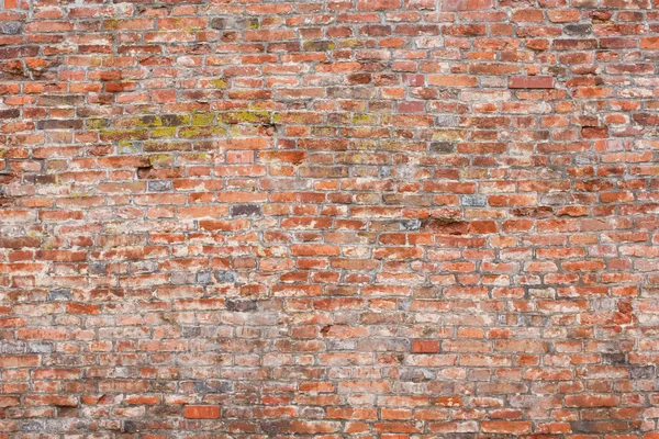 Hrubou texturou stará cihlová zeď — Stock fotografie