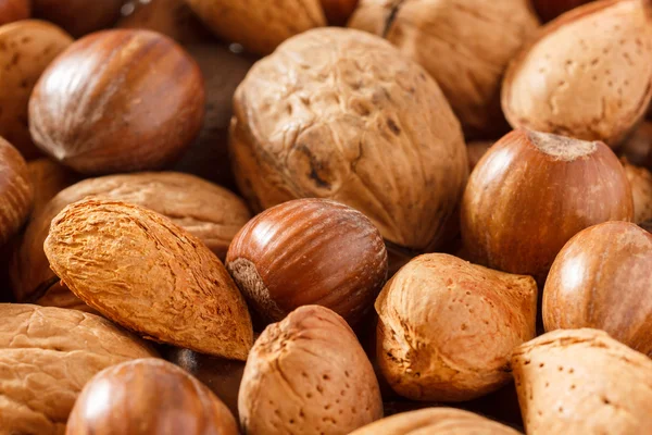 Mixed nuts with shells and selective focus — Stock Photo, Image