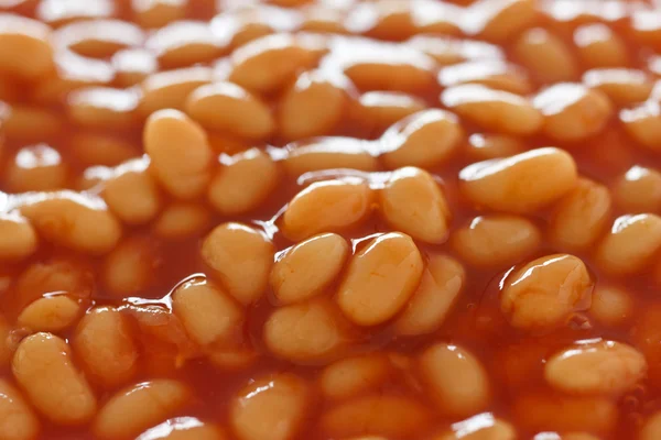 焼かれた豆の詳細 — ストック写真