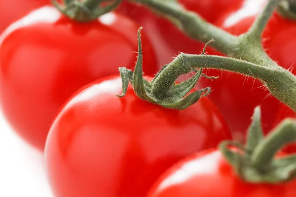 Tomates cherry maduros en la vid — Foto de Stock