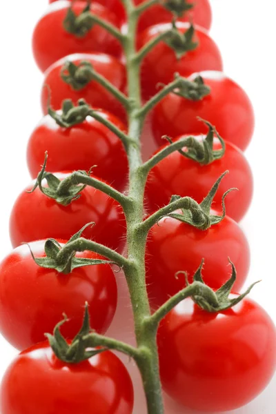Ripe cherry tomatoes on the vine — Stock Photo, Image