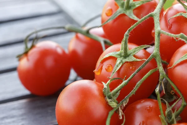 Encantadores tomates rojos pequeños frescos en la vid. Sentado en una mesa de madera oscura . — Foto de Stock