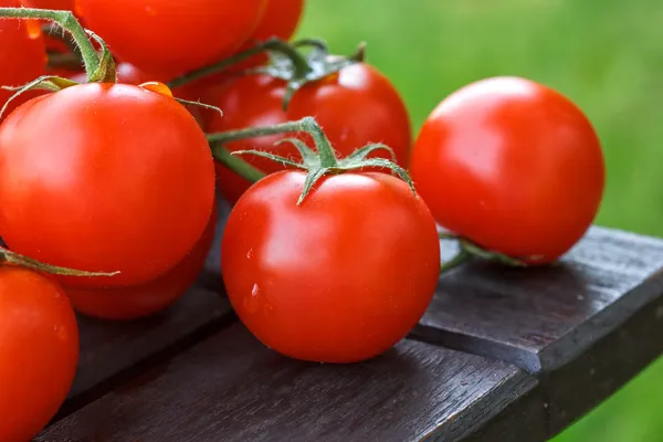 Lovely fresh small red tomatoes on the vine. Sitting on a dark wood table with out of focus grass in the background. — Stock Photo, Image