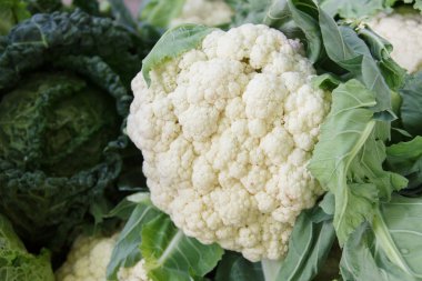 odak lahana arka planda dışarı ile bütün taze karnabahar karışık.