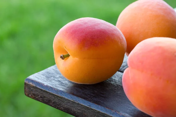 Красиві стиглі абрикоси, розташовані на столі з фокусною травою позаду . — стокове фото