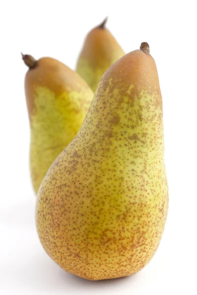 Three standing whole pears isolated on white. — Stock Photo, Image