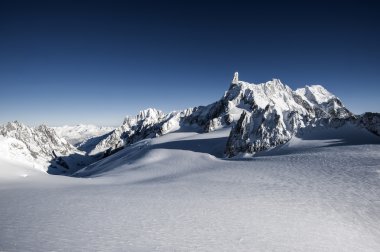 buzula mont Blanc