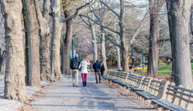 Klasik central Park'ta sahne