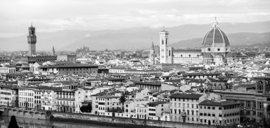Florence panoramic view