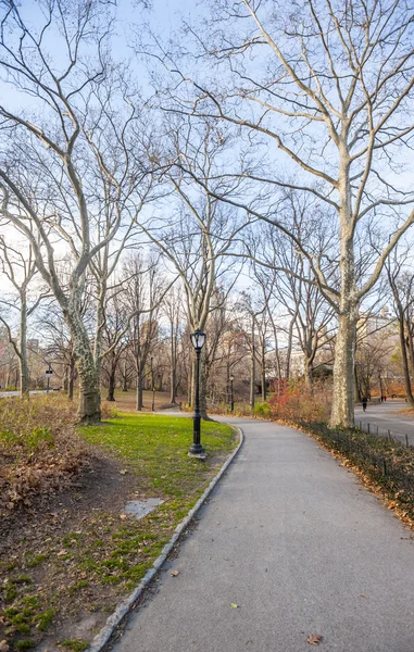 Central park — Stock fotografie