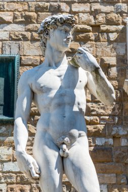 david di michelangelo heykeli