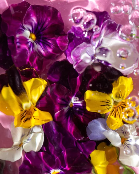 Underwater Flower Texture Abstract Background Bubbles — Zdjęcie stockowe