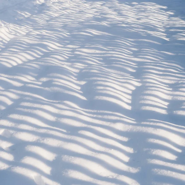 Light through a fence on soft fresh snow. Texture.