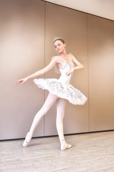 若い白人バレエダンサーは白白鳥のプロのチュチュのスカートの中でバレエのポジションを練習します チュチュの若い美しい女性バレエダンサー練習バレエの位置 — ストック写真