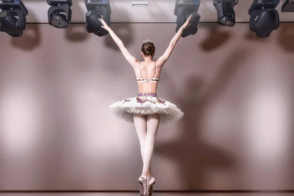 Joven Bailarina Elegante Imagen Cisne Blanco Actuación Artística Vista Trasera — Foto de Stock