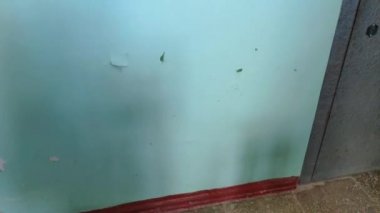 Bir apartmanın merdivenlerinde. Beton merdivenler.