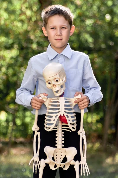 Retrato de un escolar abrazando un esqueleto. El concepto de estudiar la estructura del cuerpo. — Foto de Stock