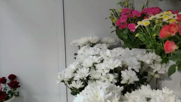 창고 냉장고, 꽃 가게 도매 꽃. 플라스틱 용기 또는 양동이에 빨간 장미. 온라인 상점. 꽃 가게와 배달 컨셉. — 비디오