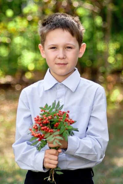 Retrato de un colegial mirando a la cámara sobre un fondo borroso de árboles verdes. en su mano sostiene un ramo de ramas de fresno de montaña. — Foto de Stock