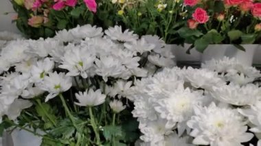 Depo buzdolabı, çiçek dükkanları için toptan çiçek. Plastik bir kap veya kova kırmızı güller. Online mağaza. Çiçek dükkanı ve teslimat konsepti.