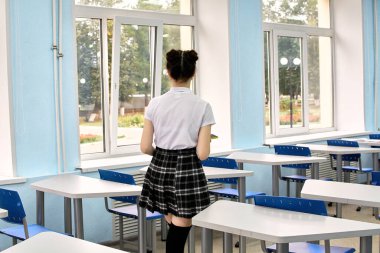 Lise öğrencisi. Anime tarzı