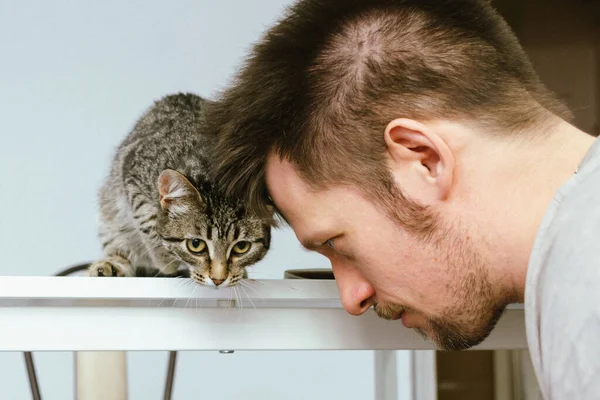 Adam kedi yavrusuyla oynuyor. Ona sarıldı.