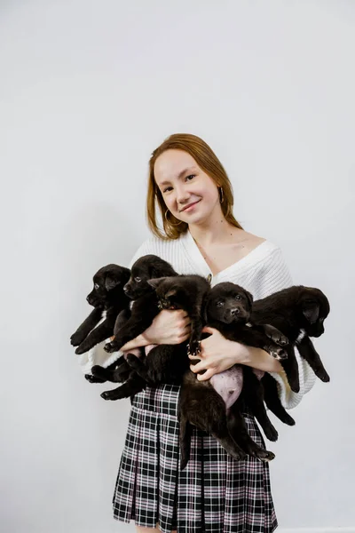 A menina segura cachorros negros em suas mãos. — Fotografia de Stock