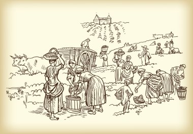 çalışma vintners