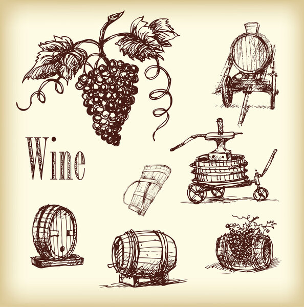 Hand drawn wine element