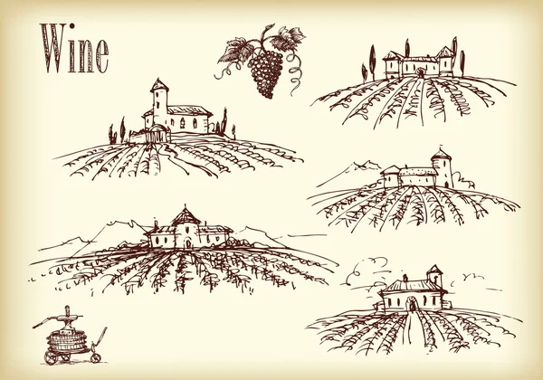 Замки с виноградниками — стоковый вектор
