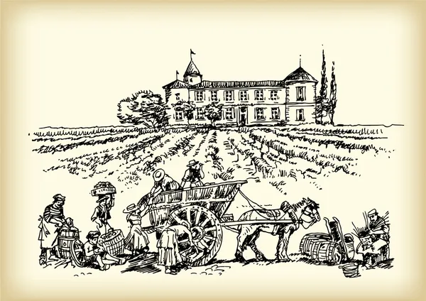 草绘的酿酒厂工人 — 图库矢量图片