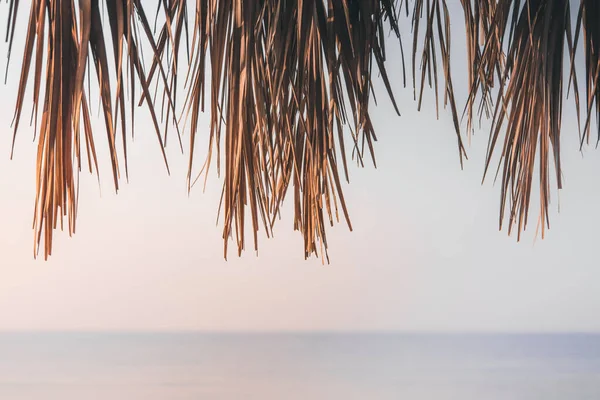 Calm relaxing travel background with neutral colors. Blowing beige and dry palm tree of beach umbrella with sunrise sky and sea. Copy space for your text. Banner on page, cover and website. Soft focus —  Fotos de Stock