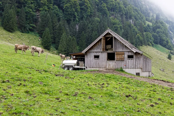 山上的谷仓 在阁楼上开着窗户的谷仓 看得见的干草包 在房子的牛奶拖车前面 在绿色的牧场上的奶牛 — 图库照片