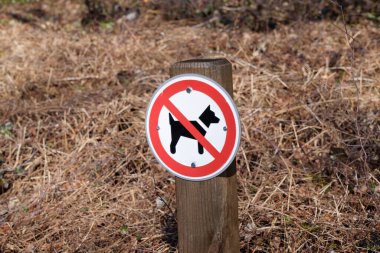 Köpek bölgesi yok: kırmızı ve beyaz. Köpek işareti yok. Köpek dışkısı, kirlilik, sonbahar günü güneş ışığı yüzünden bu bölgeye hayvanlar giremez.