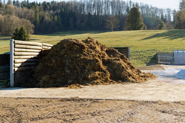 large golden brown pile of manure in late summer on a farm, fertilizers are very important for the growth of vegetables wheat and plants, without people