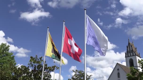 Different Flags Blowing Wind Yellow Black Miles Flag Swiss Flag — Vídeo de Stock