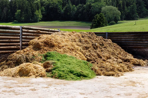 big golden yellow manure pile with green grass and vecals from cows and calves, on a concrete floor, fertilizer is important for plants and vegetable growing, during the day, colorful