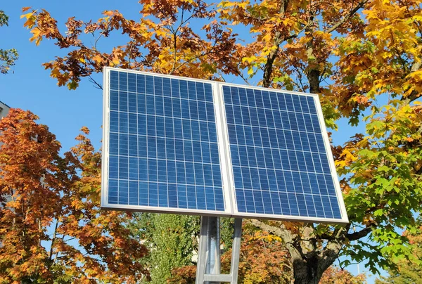 solar panel in front of colorful autumn leaves forest, alternative energy to replace fossil fuels, daytime without people