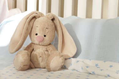 Bebek partisi. Mavi arka planda uzun kulaklı tavşan. Çocuklar tuvaletinde bir oyuncak. Çocuk yatağı. En sevdiğim oyuncak bebek, doğum günü tebrikleri için çocuk geçmişi..