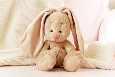 Yatağın üzerindeki bebek odasında bebeği bekleyen yumuşak bir oyuncak tavşan var. Tatlı, narin oyuncak. Çocuğun en sevdiği oyuncak. Bebek bir tavşanla uyuyor.
