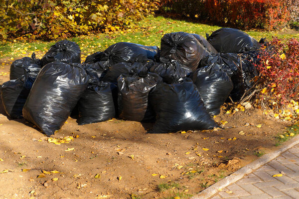 В парке на желтой траве стоят полные мешки листьев, сухой травы и мусора. Многие заполненные мешки должны быть отправлены на свалку. Чистый участок. Мусор собран. Осенняя чистка листвы
