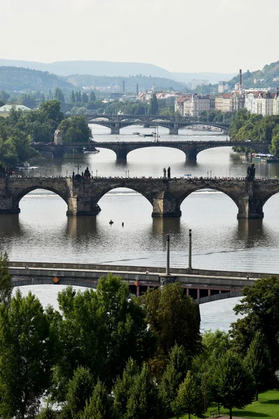 PRAAG. — Stockfoto