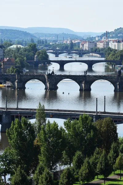Praha. – stockfoto
